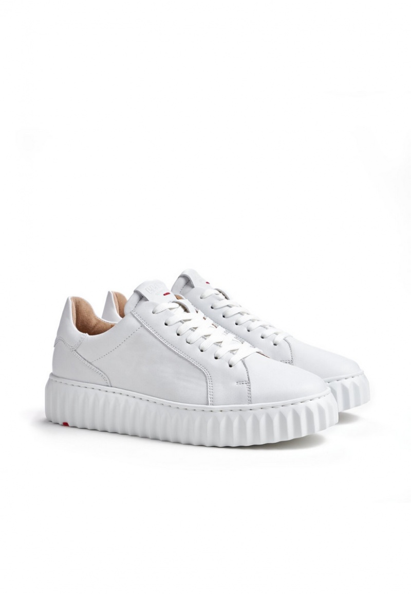 LLOYD SNEAKER White | GED830459