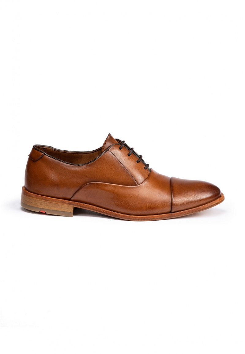 LLOYD TEX Brown | GCV497601