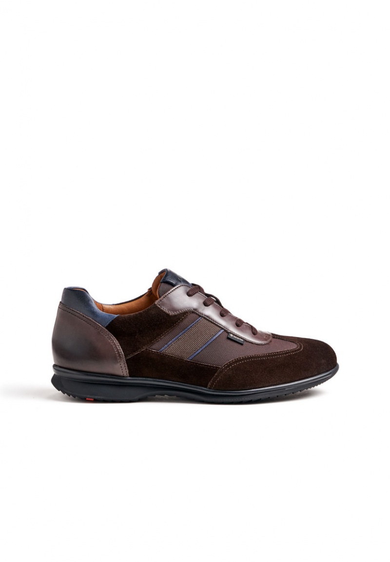 LLOYD VAGO Brown | QOP412085