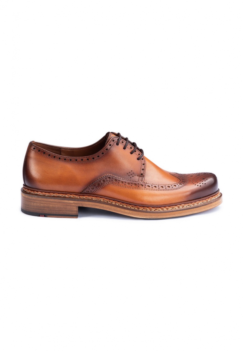 LLOYD WOTAN Brown | NSH854273